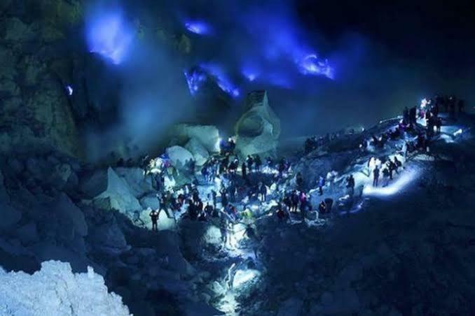 Ijen Mansjestic B&B Tamansuruh Buitenkant foto